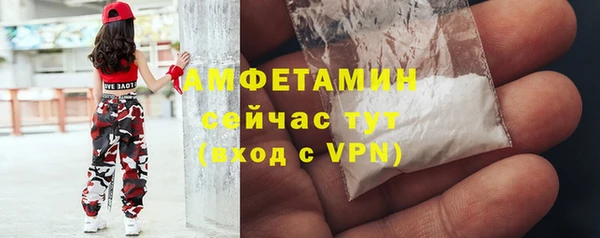 твердый Бородино
