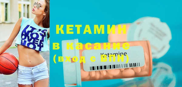 твердый Бородино