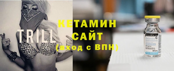 твердый Бородино