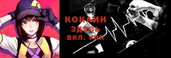 твердый Бородино