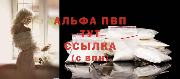 твердый Бородино