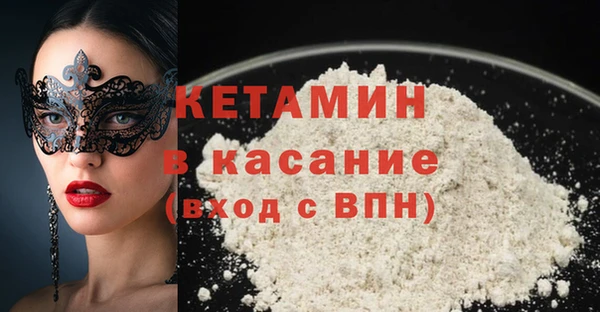 твердый Бородино
