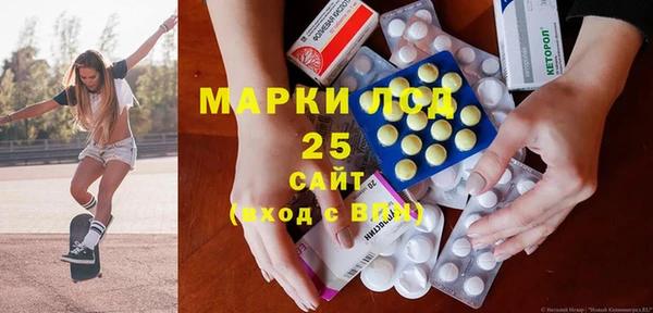 твердый Бородино