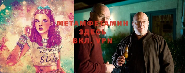 твердый Бородино