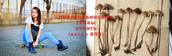 твердый Бородино