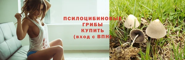 твердый Бородино