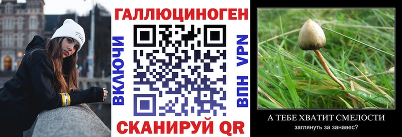 Галлюциногенные грибы мухоморы Новосокольники